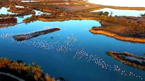 Reportages découvertes Quatre saisons en Camargue