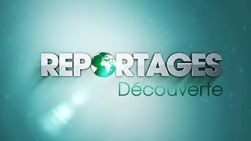 Reportages découvertes
