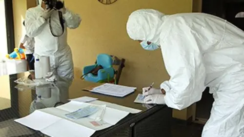 Reportages faits divers