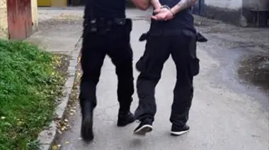 Stups à Aulnay : l'or brun sous le béton