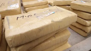 Gendarmes de la Creuse : Le trafic est dans le pré