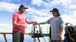 Requin vs Kraken : duel des abysses