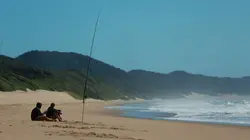 Sur Discovery Channel à 23h00 : Requins des abysses : créatures inconnues