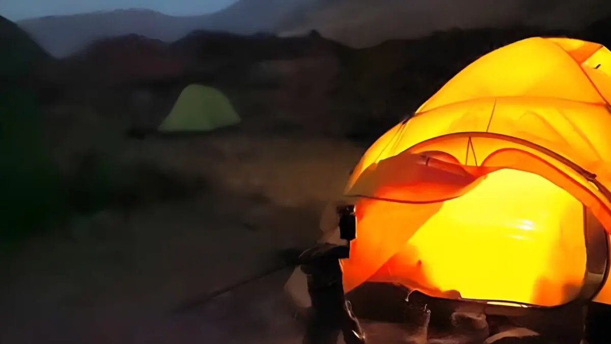 Rescapés des Andes. Leur incroyable leçon de survie.