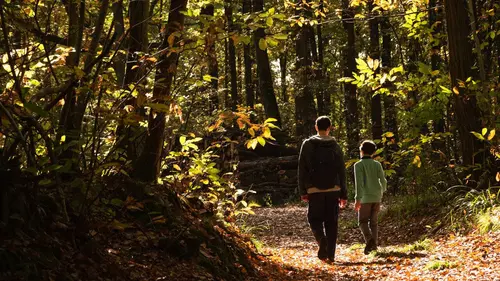 Réseaux d'enquêtes
