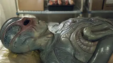 Resident Alien S01E08 La fin du monde