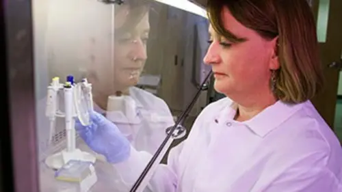 Résistance aux antibiotiques