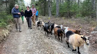 Ma grange dans le Maine