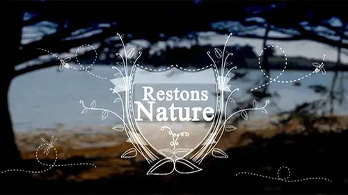 Casting Restons nature E02 Golfe du Morbihan