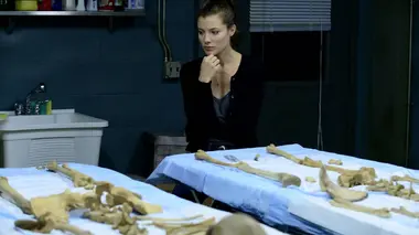 De vieilles blessures