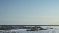 Casting Retour à l'âge de glace, l'hypothèse de Zimov