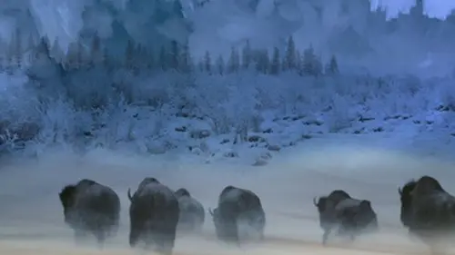 Retour à l'âge de pierre Se perfectionner