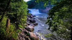 Retour à l'instinct primaire