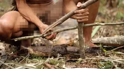 Retour à l'instinct primaire La vengeance dans la peau