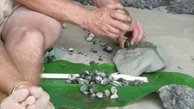 Séquences inédites