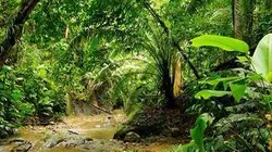 Retour à l'instinct primaire S10E11 Meltdown on the Mountain