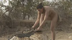 Retour à l'instinct primaire Retour à l'ère glaciaire