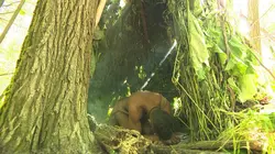 Retour à l'instinct primaire La peur de l'inconnu