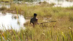 Retour à l'instinct primaire 23 jours