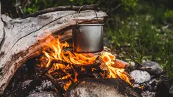 Retour à l'instinct primaire La dure loi de la nature