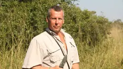 Retour à l'instinct primaire Gare aux Hippos