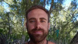 Retour à l'instinct primaire Le roi de la forêt