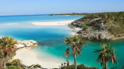 Retour à l'instinct primaire Piqués au vif