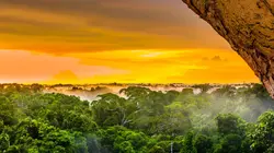 Retour à l'instinct primaire S03E01 Ne jamais sous estimer la jungle