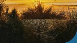 Retour à l'instinct primaire Le choc des survivants