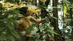 Retour à l'instinct primaire S02E12 Savane de Namibie