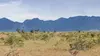 Savane du Rupununi
