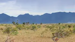 Retour à l'instinct primaire S02E01 Savane du Rupununi