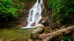 Retour à l'instinct primaire E03 Fleuve Sai Rung