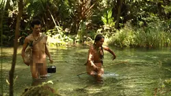 Retour à l'instinct primaire De morsure en piqûre