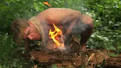 Retour à l'instinct primaire L'essaim