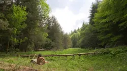 Retour à l'instinct primaire Guerre des sexes