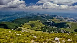 Retour à l'instinct primaire Sang froid
