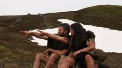 Retour à l'instinct primaire De morsure en piqûre