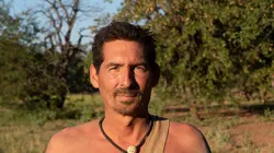 Retour à l'instinct primaire La terre des lions