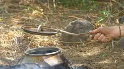 Retour à l'instinct primaire Débutants et vétérans