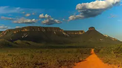 Retour à l'instinct primaire S05E05 Traqués dans la savane