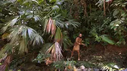 Retour à l'instinct primaire Philippines : Caroline et Pascal