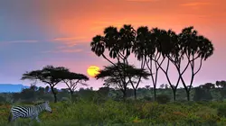 Retour à l'instinct primaire S08E10 Guerre des sexes partie 2