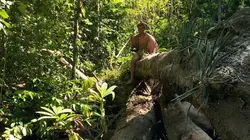 Retour à l'instinct primaire L'essaim