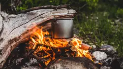 Retour à l'instinct primaire La dure loi de la nature