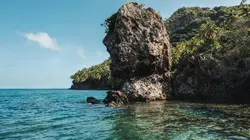 Retour à l'instinct primaire La jungle maudite