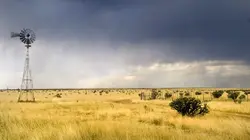 Retour à l'instinct primaire La torture texane