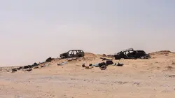 Sur Discovery Channel à 21h00 : Retour à l'instinct primaire : Apocalypse