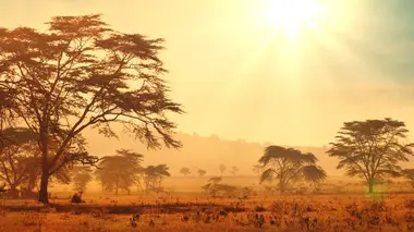 Retour à l'instinct primaire Deux citadins dans la jungle