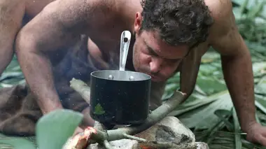 Retour à l'instinct primaire Jungle de Quintana Roo